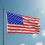 Amerika Gönder Bayrağı
