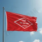 TSE – TS EN ISO 13485 Kalite Bayrağı