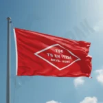 TSE – TS EN 15224 SKYS – HQMS Kalite Bayrağı